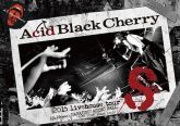 Acid Black Cherry: 2015 Livehouse Tour S