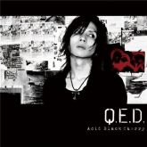 Acid Black Cherry: Q.E.D ~ Type B [DVD Album]