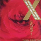 X Japan: Visual Shock 2