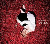 Acid Black Cherry: 2012 ~ Type A [DVD Album]
