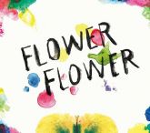 Flower Flower: Mi [DVD Album]